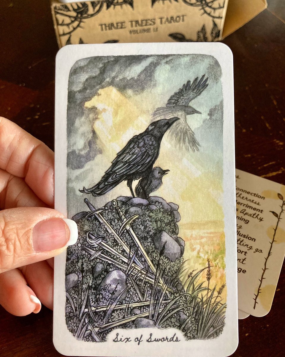 thelunarhaven's tweet photo. I see an individual facing an awakening. It’s a scary transition. What is one thing you can change today that will help you feel authentic? Do it.🌙✨
#oakashandthorn #tarot #6ofswords #awakening #liveauthentically #selfhealing #selfhealers #thelunahaven #healingfromtheheartland https://t.co/vIO9PmbKmk