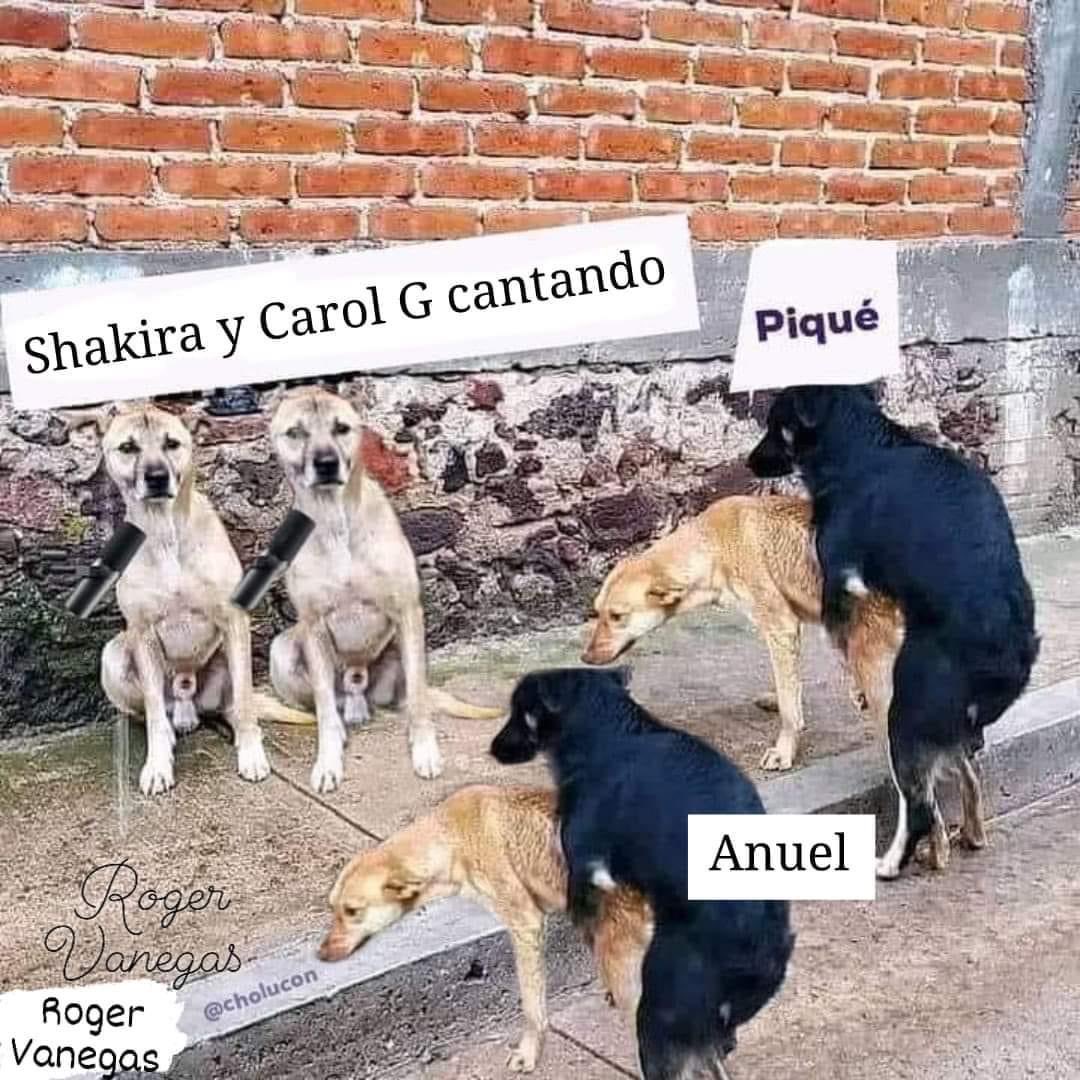 Que Doloiiii.