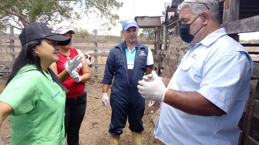 InsaiVeOficial's tweet image. #JuntosPorLaPatria 
#26Febrero 
Culminamos con éxito Curso de Acreditación de Tuberculosis Bovina, en sinergia con Colegio de Médic@s Veterinari@s de Guárico, en INSAI, educamos para la Buena Salud Animal. 
@NicolasMaduro 
@MinAgriculturaV 
@wcastroPSUV 
@Tibisaylcastro