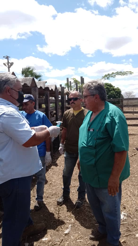 InsaiVeOficial's tweet image. #JuntosPorLaPatria 
#26Febrero 
Culminamos con éxito Curso de Acreditación de Tuberculosis Bovina, en sinergia con Colegio de Médic@s Veterinari@s de Guárico, en INSAI, educamos para la Buena Salud Animal. 
@NicolasMaduro 
@MinAgriculturaV 
@wcastroPSUV 
@Tibisaylcastro