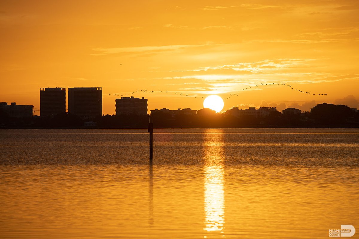 Anywhere you look in #OurCounty, beauty can be found. This spot happens to be in Miami Springs. #OurViews #OurBackyard #SundayViews #LazySundays