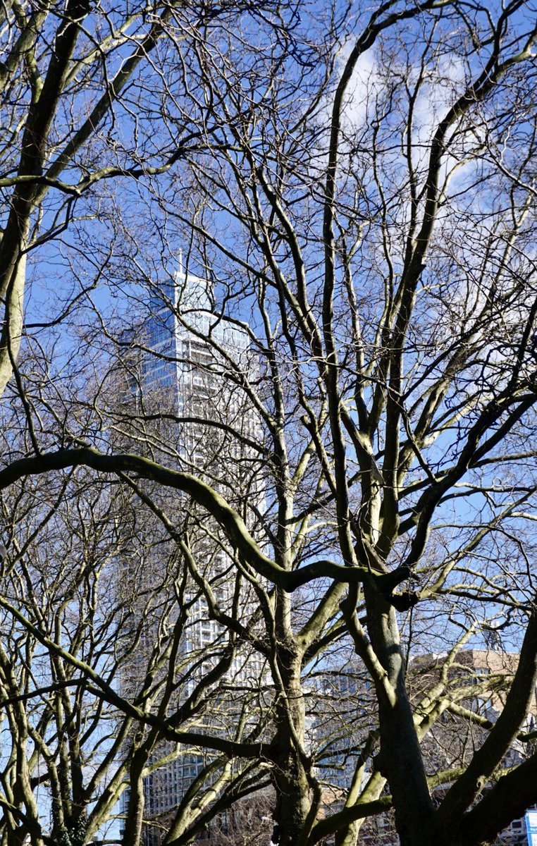 ol2016's tweet image. #rotterdam in het kort. #kunsthal