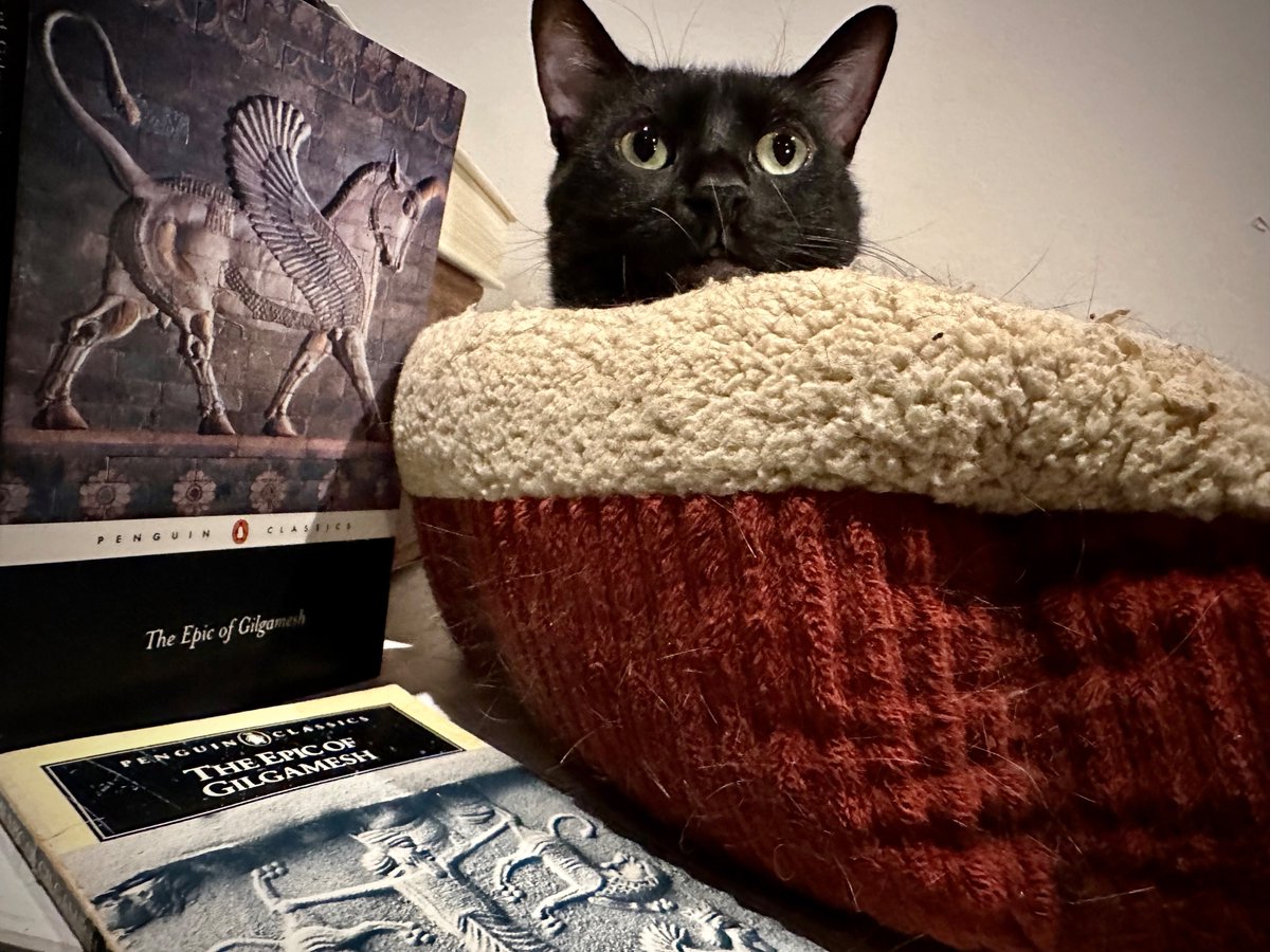 In our latest episode, we look at The Epic of Gilgamesh, a three thousand (or so) year old poem about Gilgamesh (a king who is two-thirds divine) and his beloved Enkidu.

megaphonic.fm/spouter/65