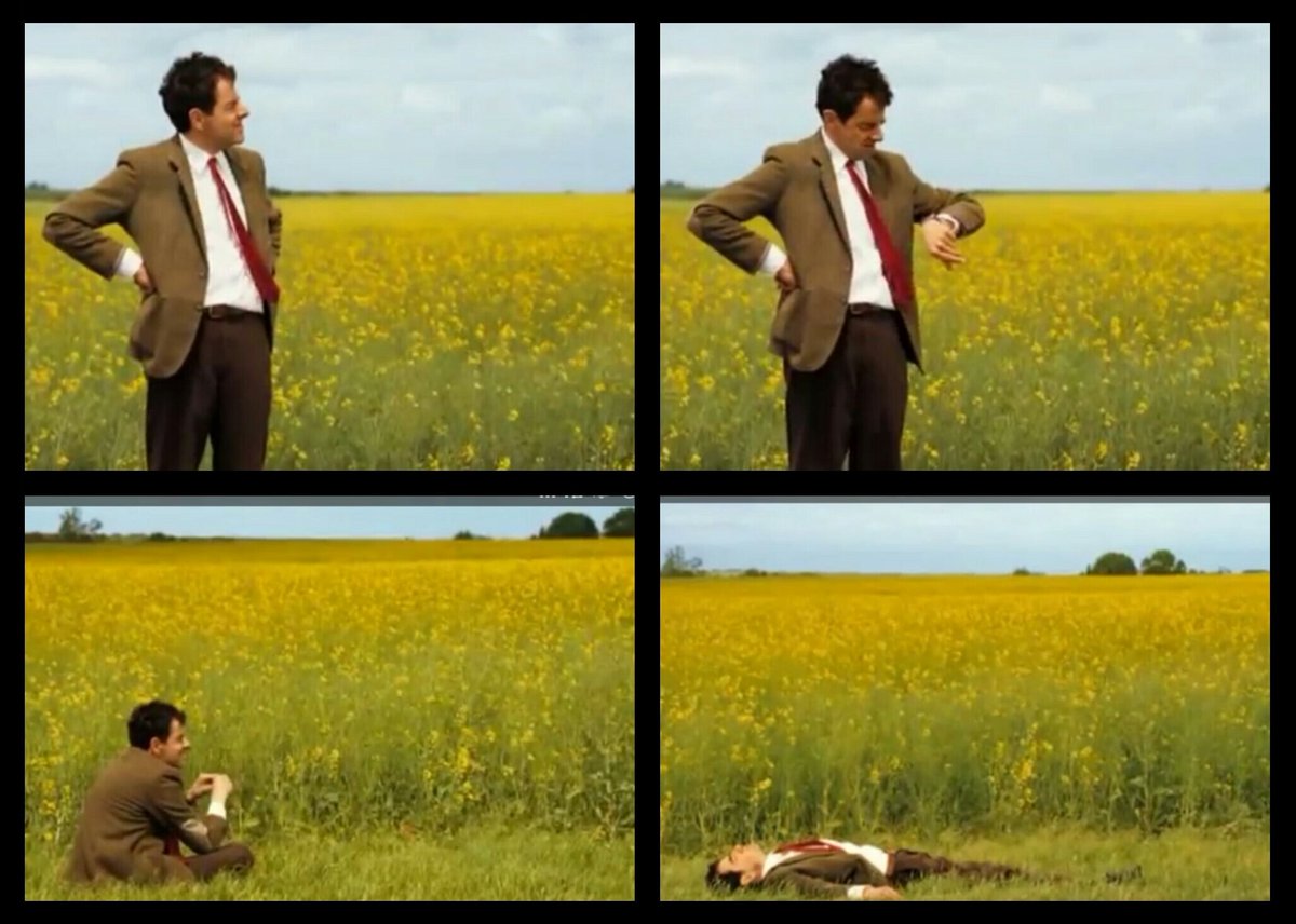 CalmCoati's tweet photo. Me waiting for muscles after going to the #gym once and drinking one single protein shake be like: https://t.co/DFJUEabkHs