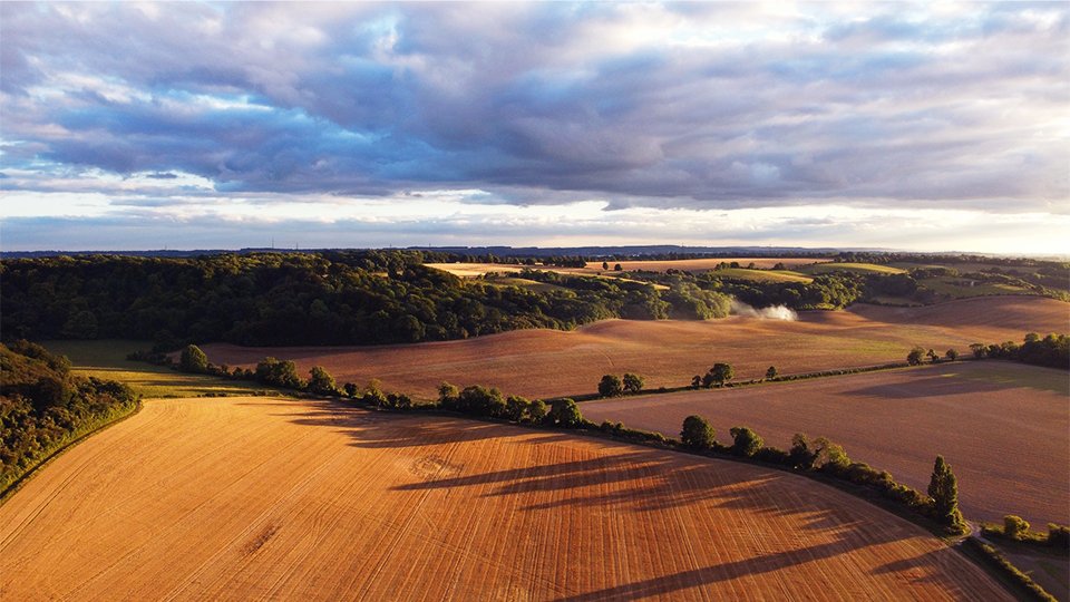 Beautiful Fields | Relaxing Ambient Piano Music
Video Link: youtu.be/Wgxgzm1iwE4 
Please support me by pressing like 👍 (if you like the video), share, and subscribe to my YouTube channel. Thank you🙂 #fields #field #landscape #agriculture