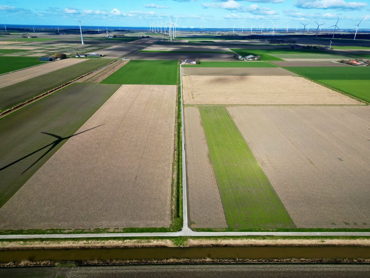 Harrysfarm 🚜🥔🌾🌻🚴‍♂️🧅 tweet media