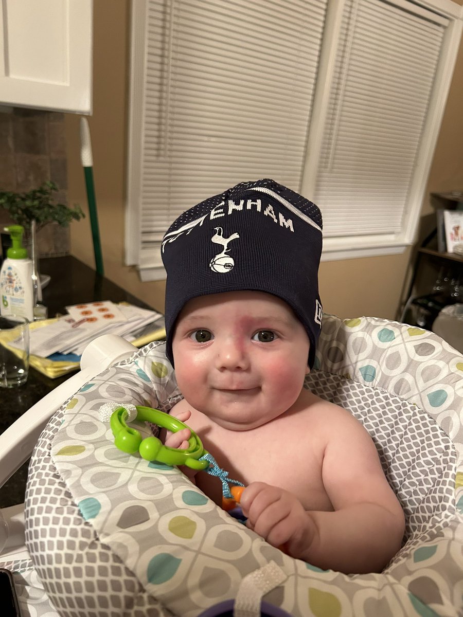 XOcatconte's tweet photo. @SpursOfficial #COYS #SpursOfficialMatchDay  
@premierleague https://t.co/wGHT4tLtha