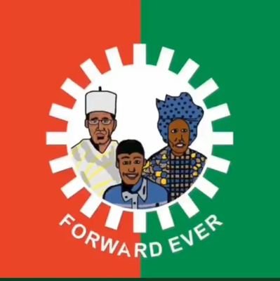 When the results are finally out,  and it is not Mama, Papa and Pikin,  we will resist it.. 

You can not force on us a president that we do not want.

#presidentialelection2023 Collation
INEC Chairman Oloriburuku #ObiWon Banky Chelsea Iyabo Ojo Bashir Northerners Pat Utomi