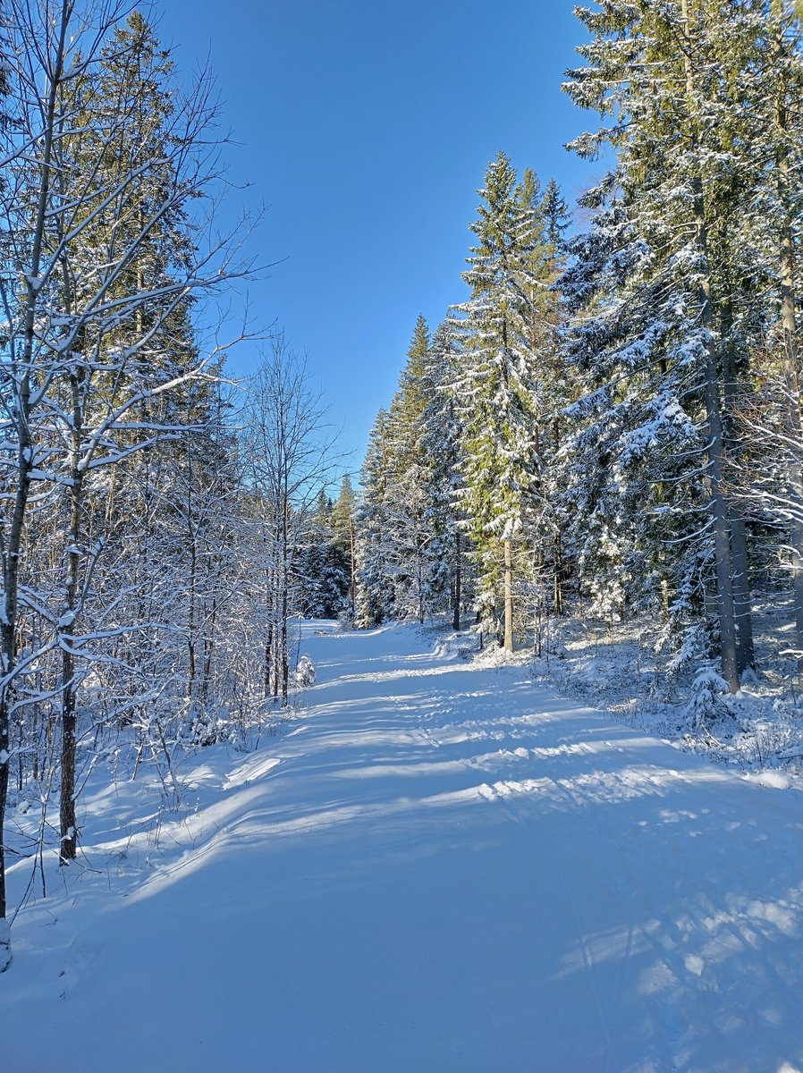 MattiasBrehag's tweet photo. Alltså, #Billingen idag! #recharging https://t.co/QMjHs1IcuZ