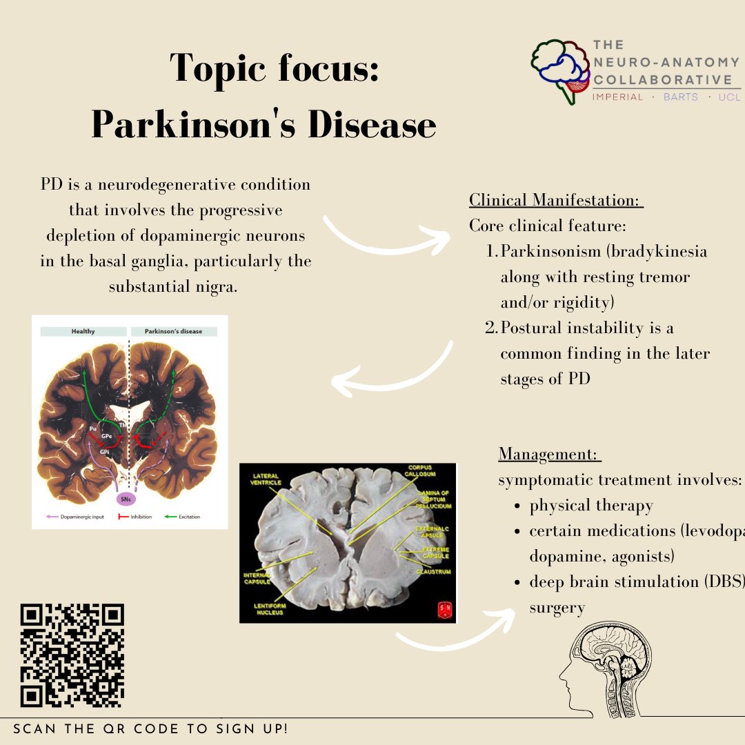 SESSION 7: BASAL GANGLIA🧠

🗓️: Tues 28th Feb
⏰: 6:30 (GMT) 
📍: Zoom (
🗣️: Speaker to be announced soon! L

Scan the QR code or click the link in our bio to sign up! 

#neurosurgery #neurology #neuroanatomy #teaching #medicine #medical #education #brain #basalganglia #parkinson