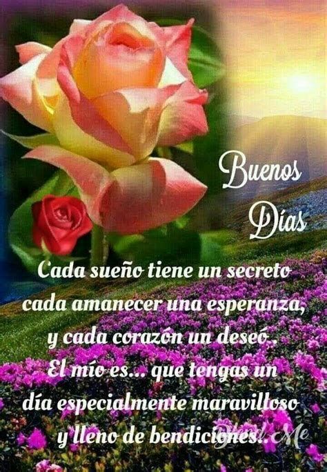 @Beba73068196 @lacasa272 @palzam72 @MarelyD42 @jmhgomez1 @nanunsc2 @palacioseri5 @Camilaplu @chemen_21 @Limpio30518009 @Mariacede2023 @LiccienAlexis @JoseLiccienC @Briggittems1 @MkPatriota @cpmarp21