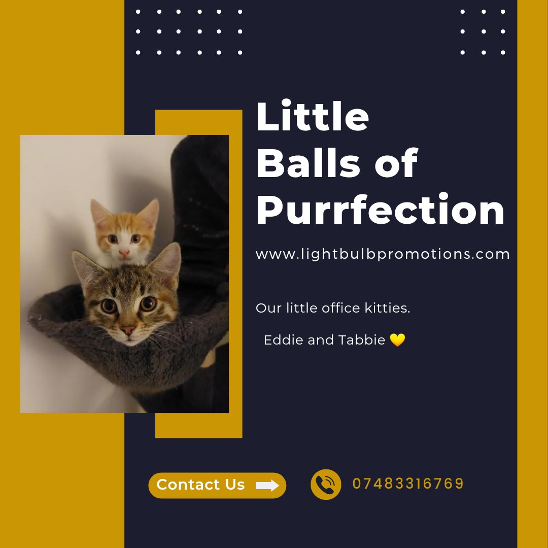 Lightbulb Promotions tweet media