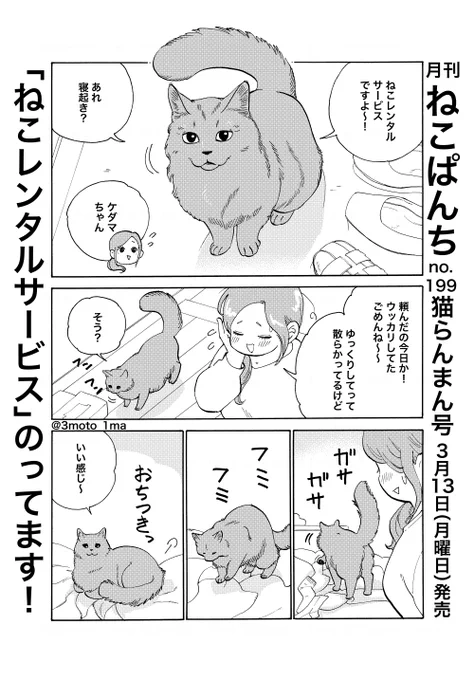 ねこぱんち 発売です!「ねこレンタルサービス」からチラ見せ!! 