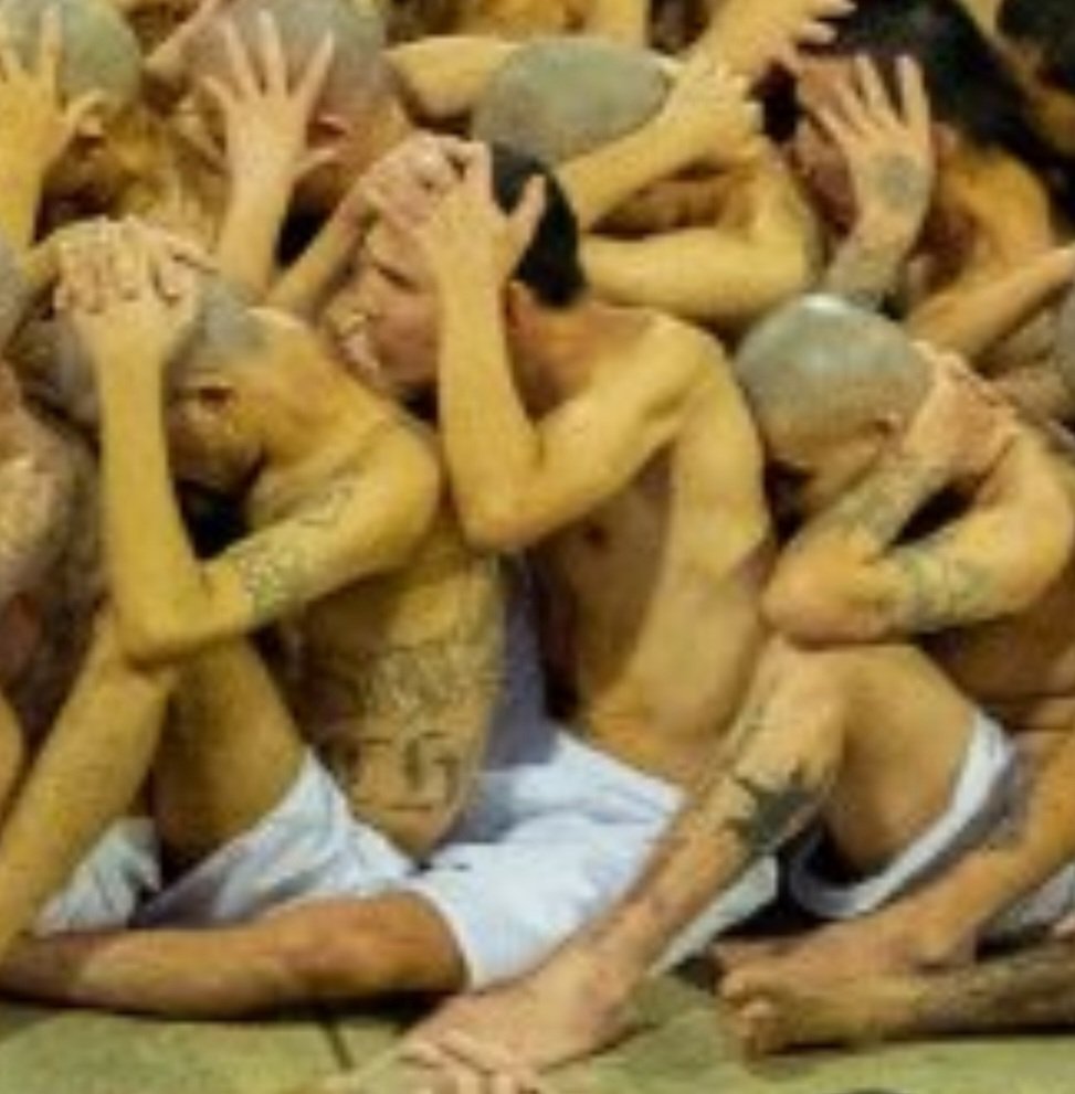 diegoayalaro's tweet photo. @EvelynMerlosSV @nayibbukele A ese no le veo ni un solo tatuaje, también es pandillero? 
Si agarras a 2000 personas en algunas pocas semanas es lógico que haya algunos inocentes https://t.co/6vn7RtrGXr