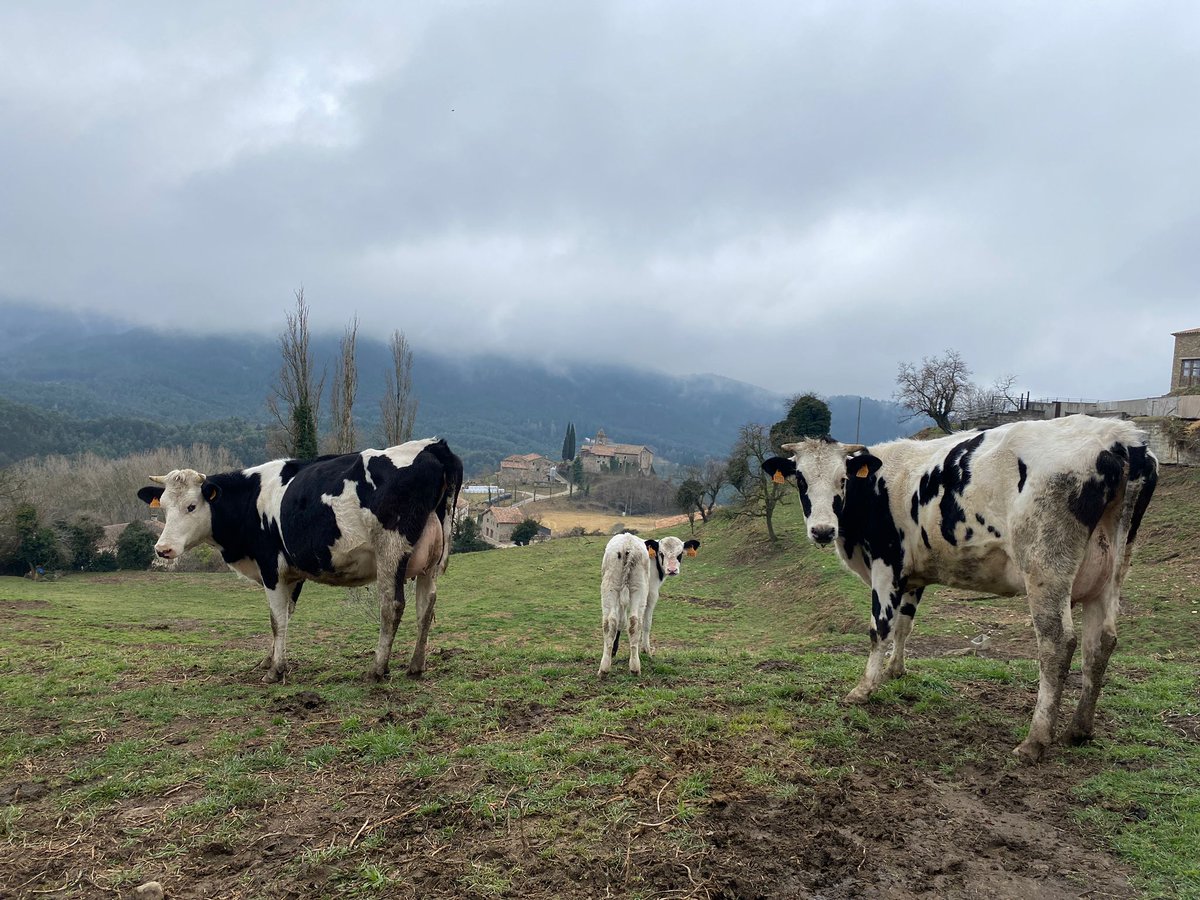 Les nostres nenes amb l'església de Matamala de fons. I més enllà la famosa borrasca d'aquest vespre