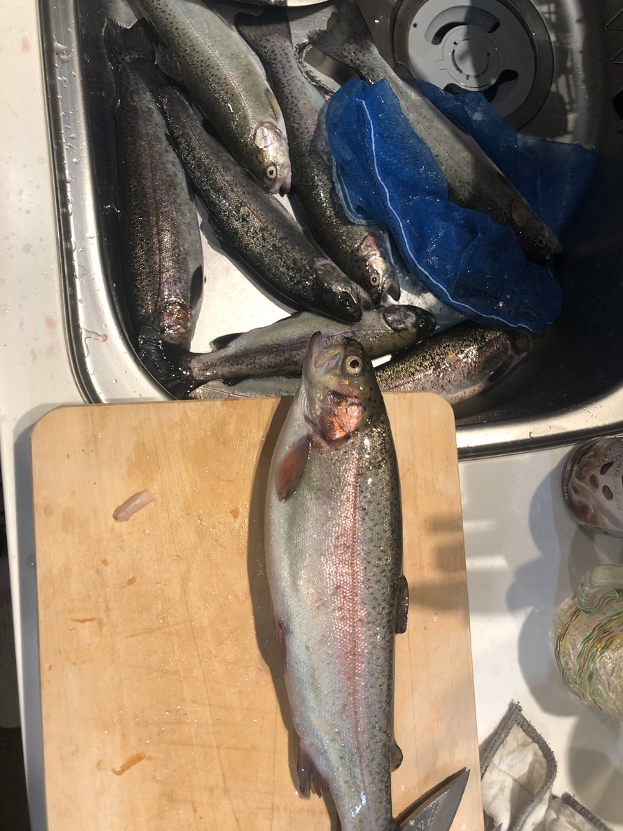 釣れた釣れた‼️ってぶっちゃけ今日知り合ったばかりの師匠に沢山頂いただけw
来週こそは自分でこれくらい釣る‼️
#釣り