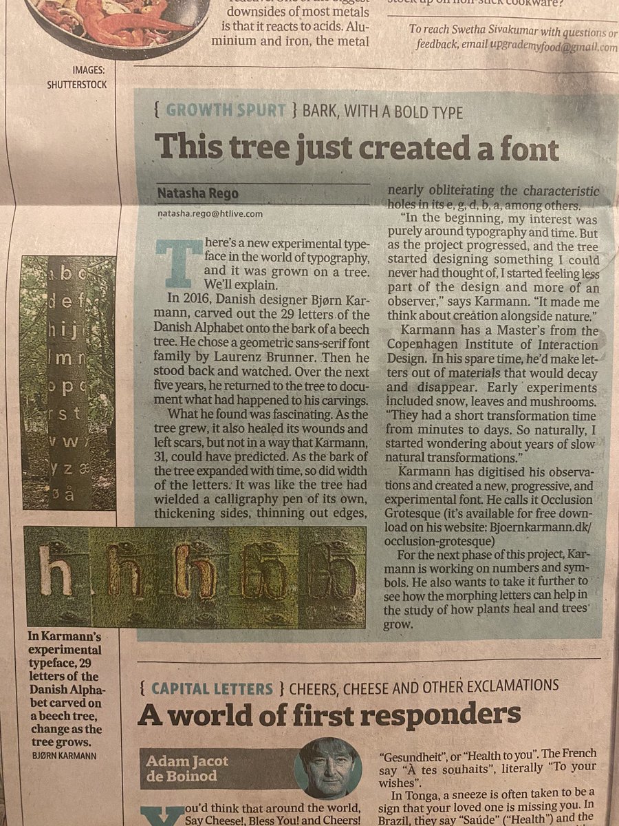 hsgrover's tweet photo. On one side there is chatGPT and on the other side a tree….. https://t.co/q5j2BYqMhX