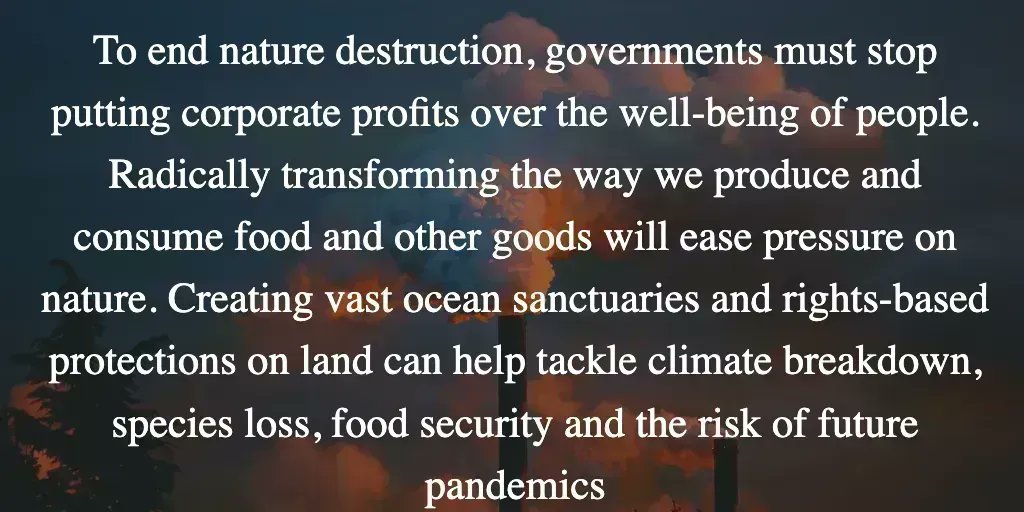 To end nature destruction, governments must stop putting corporate profits over the well-being of people. Radically transforming the way we produce and consume food and other goods will ease pressure on nature. buff.ly/3uJO094