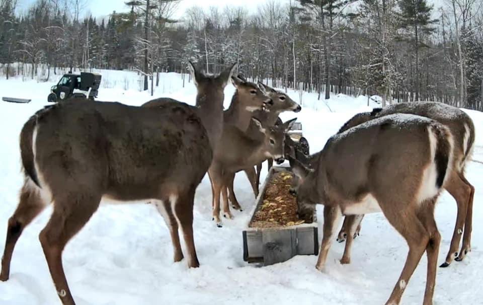 Geoff McGivern on Twitter "RT LornaSimes One of the quirkier