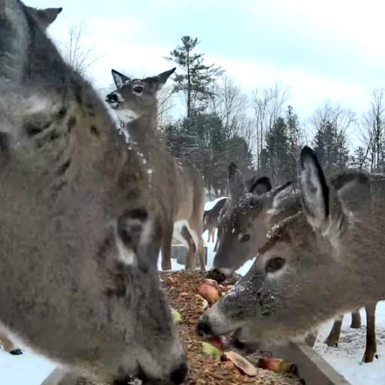 Geoff McGivern on Twitter "RT LornaSimes One of the quirkier