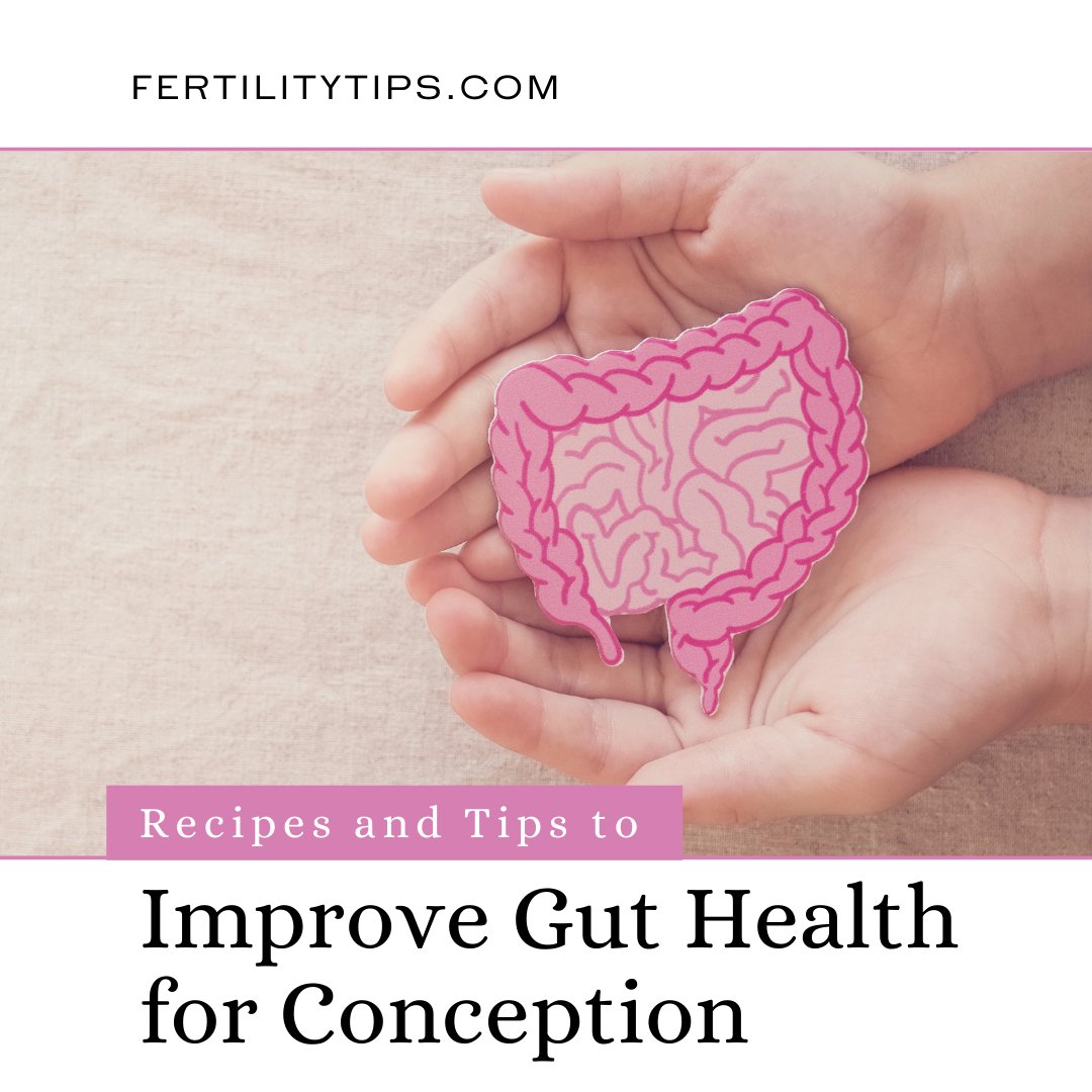 FertilityTips.com tweet media