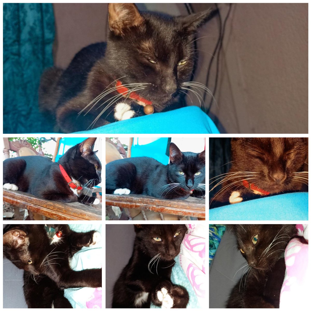 Me duele hasta el alma estar sin ti, te amo mi amor pequeño. Estos años fueron los mejores. Gracias por tanto y perdón por tan poco, merecías más de lo que te daba. Te amo de aquí hasta el cielo mi pepe. 💔