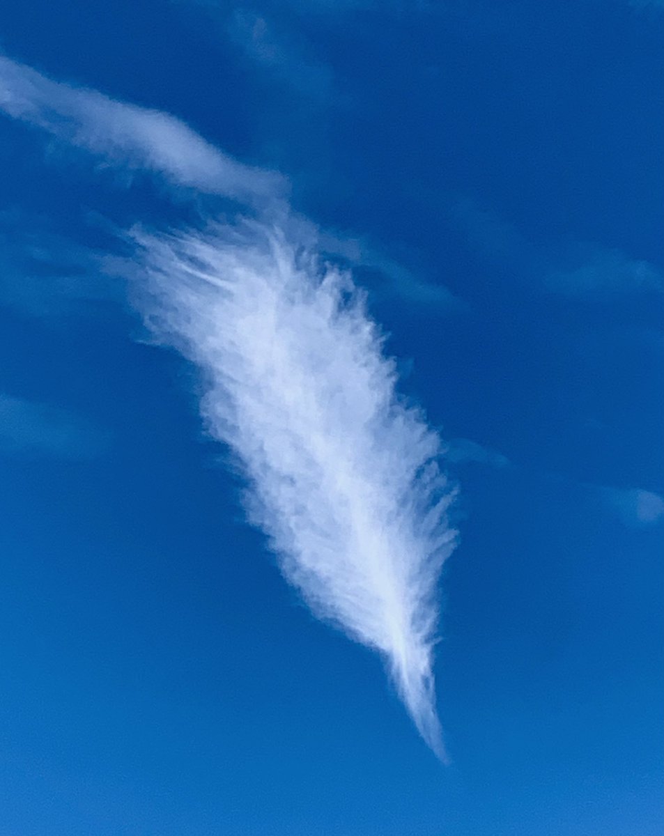 BurgawWx's tweet photo. A cirrus feather cloud was spotted over #Burgaw this morning.
#BurgawWx #feathercloud
#Burgaw #BurgawNC
#SENCWx #ILMWx
#PenderCounty #NCWx https://t.co/HK6jlZMjDz
