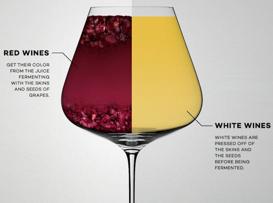 RohanGuha12's tweet photo. Red wine vs white wine 
Which wine do you prefer?
#wine 
#learningwine 
#winelover 
#redwine 
#whitewine 
#beverageslover https://t.co/dGdsSornmx