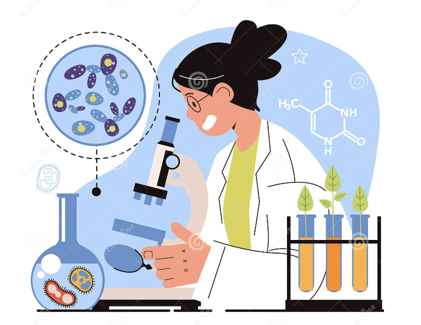 MICROBIOLOGÍA - Hospital Clínico de Valencia tweet media