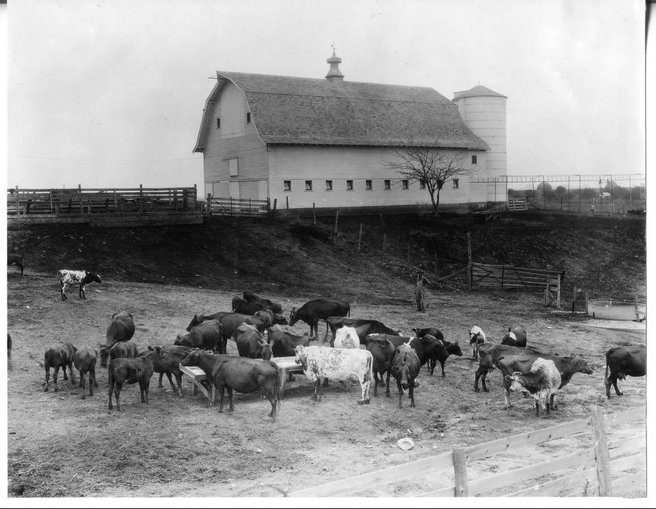 MadeInNeb's tweet image. Farm in York Nebraska in 1921