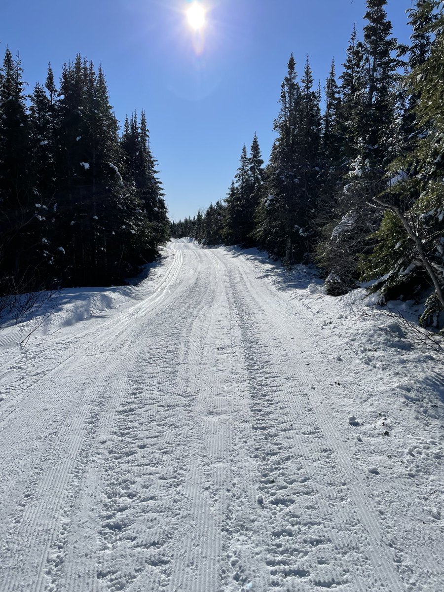 Mount Nascopi Ski Trail -22 this morning.