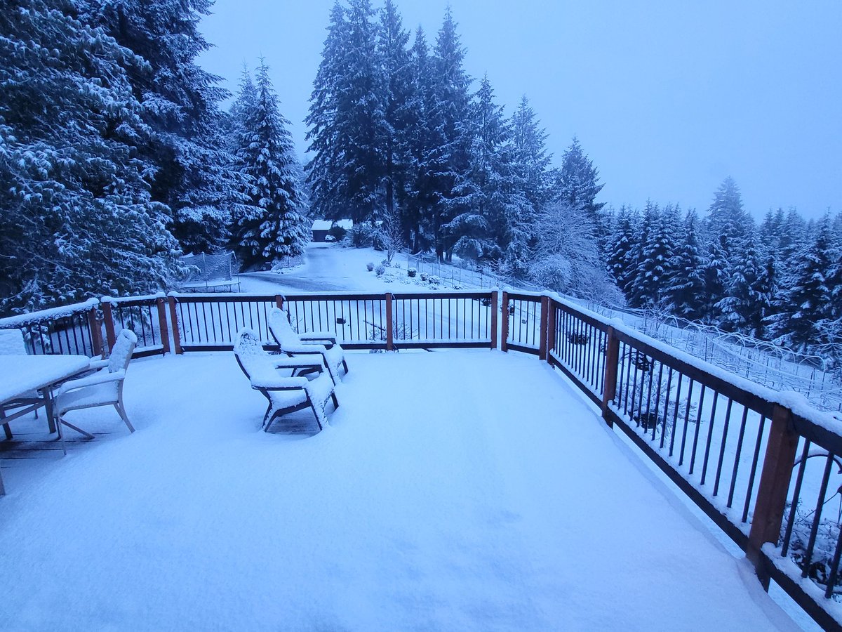 Kevin Zuercher tweet media