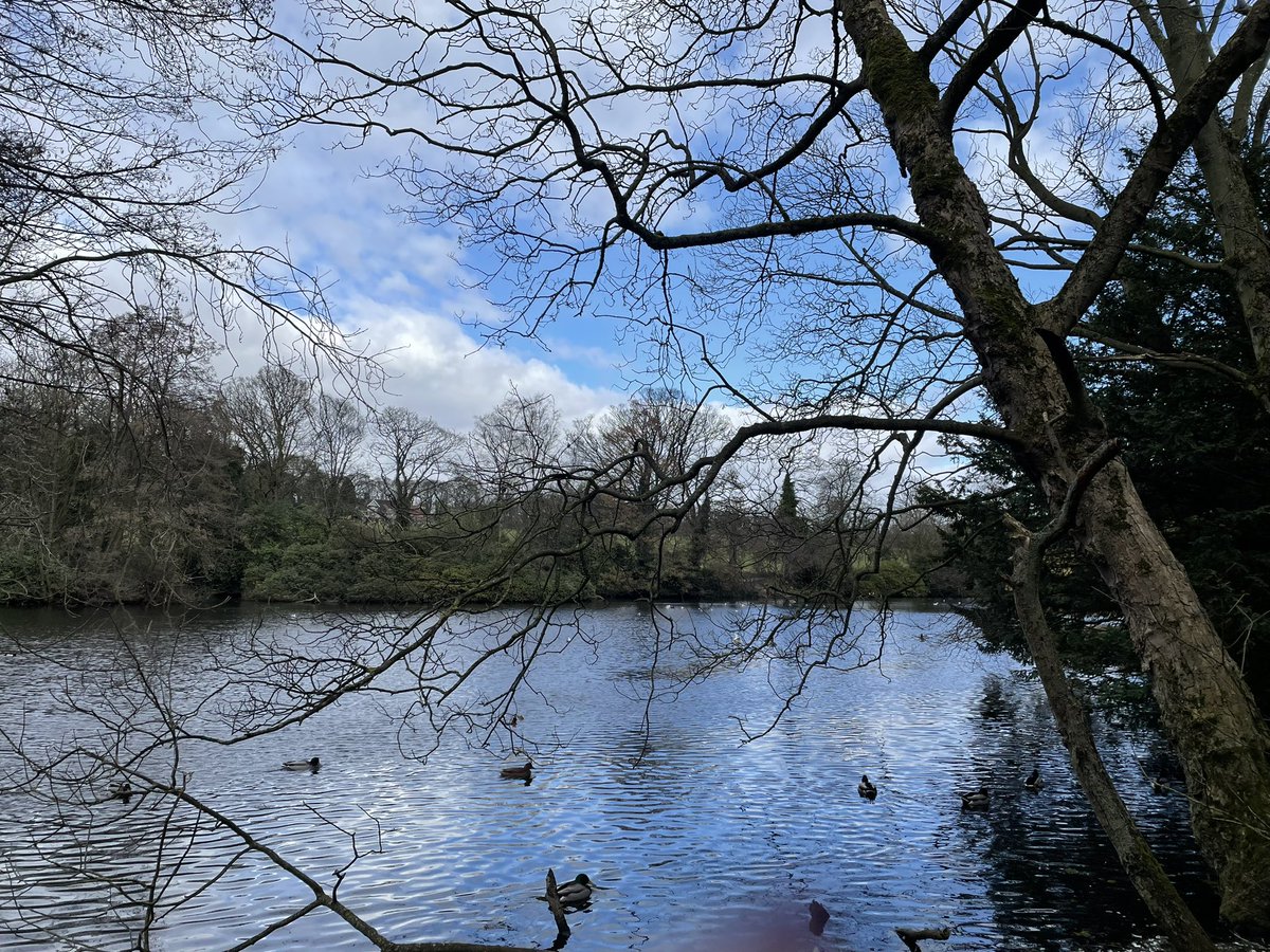 Teacher_LMc77's tweet photo. 18k of hills, sun, blue skies and an awesome play list ππΌ βοΈπΆπ»ββοΈπ§ #walkingweekend #HealthyLiving #sheffieldissuper https://t.co/9avySYowsE