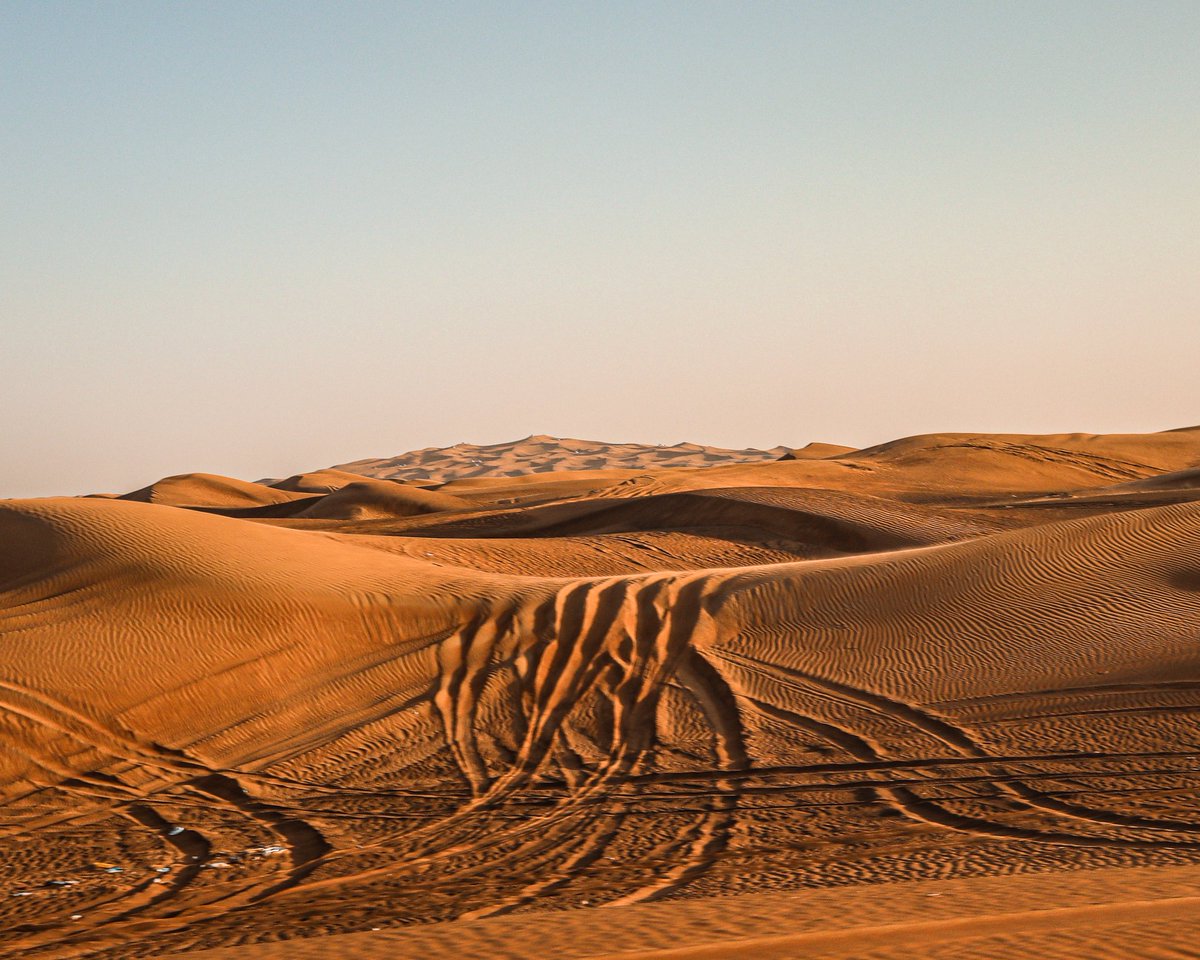 Nusta_Confused's tweet photo. Wanderlust and desert dust! 🏜️
#Desert #desertsafari #desertsafaridubai #Dubai #Uae #desertdust #FYP https://t.co/cB410baUUB