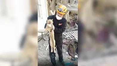 vaziyetcomtr's tweet photo. Kahramanmaraş merkezli depremlerin 21’inci gününde, Adıyaman Çınar sitesinin enkazından çıkarılan kedi, veterinere götürülerek tedavi altına alındı. https://t.co/bd5r1m2wY3