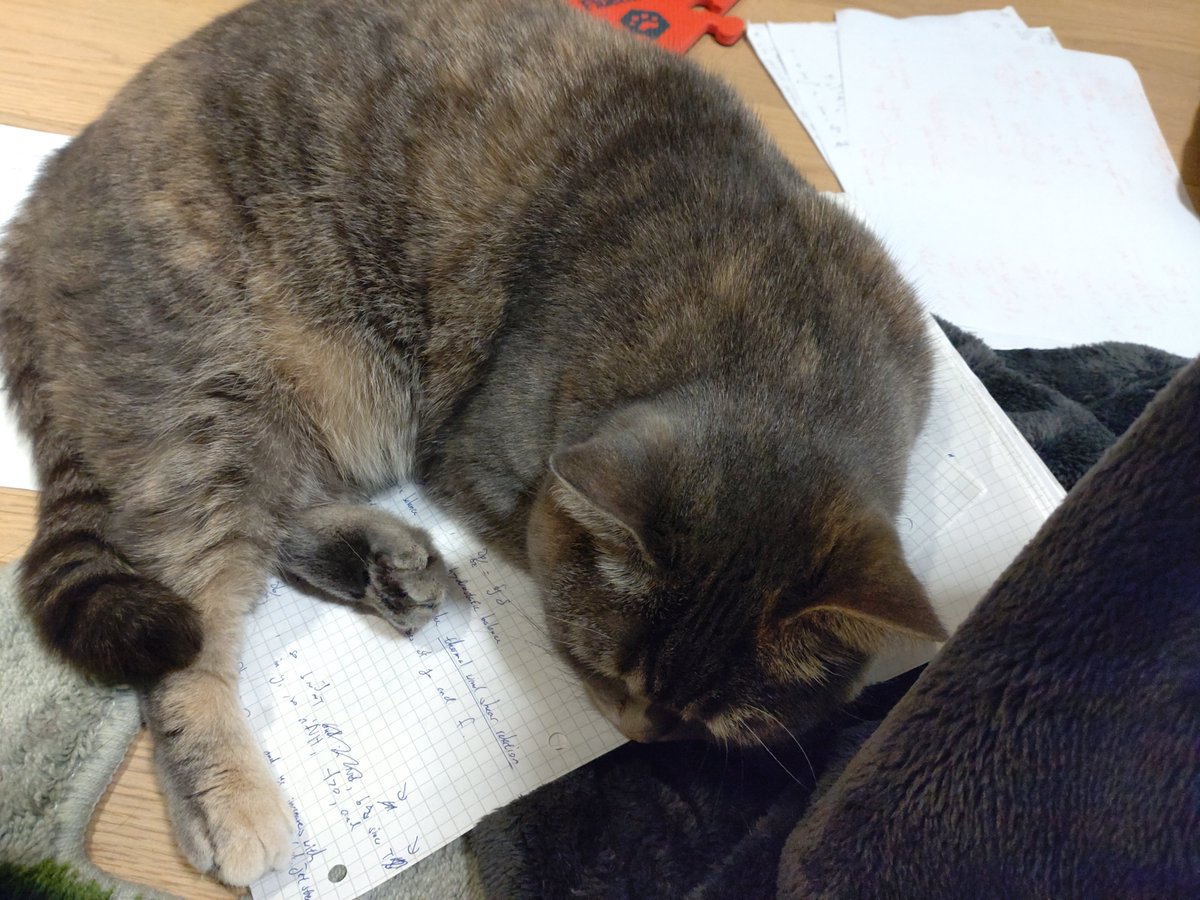 Julian Mak つ ◕_◕ つ tweet media