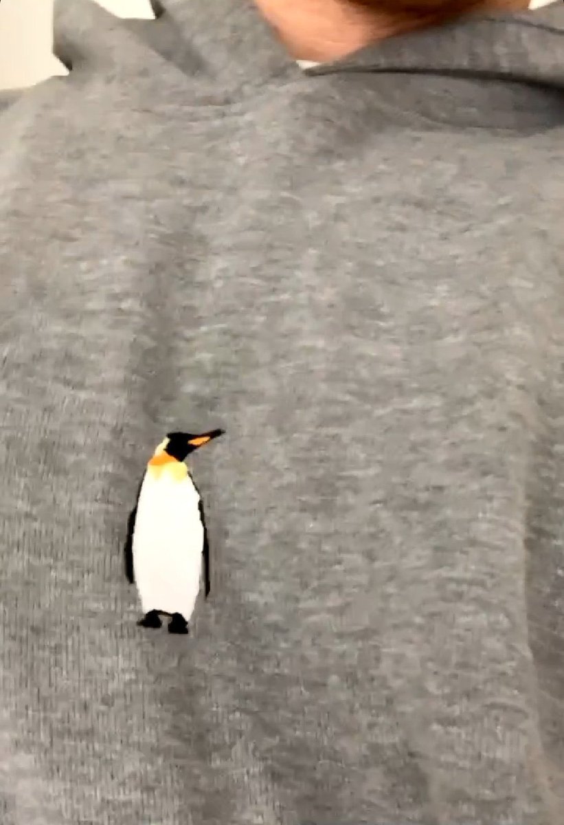 Cuando un pingüino macho se enamora de un pingüino hembra, busca la piedra perfecta en toda la playa para regalársela. Cuando finalmente la encuentra, él se inclina y coloca la piedra justo frente a ella. Si ella toma la piedra, significa que acepta la propuesta.🐧🤍🐧