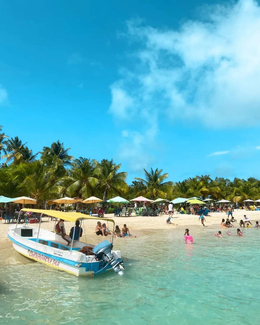reservaconisla3's tweet photo. No existe mejor descanso que el que puedes tomar en Islas Del Sol ☀️ Ven y disfruta de rumbita, playa y sabor 🏖 todo en un solo lugar

Reserva al DM 📥 o a través del número 0412-2463764 📲
#IslasDelSol #Playa #Venezuela #Morrocoy https://t.co/y4ffEQdLE6