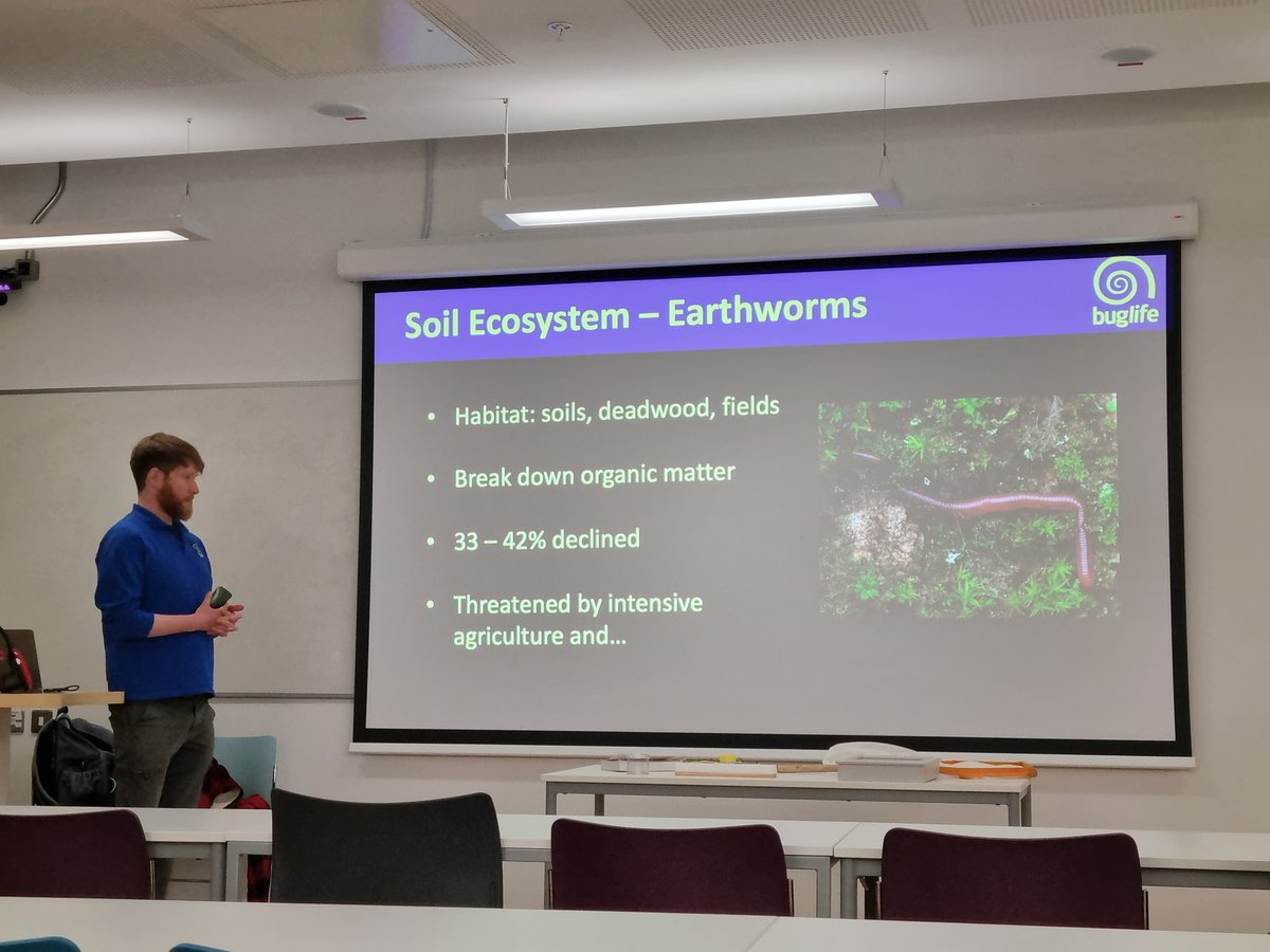 Had great fun in Belfast at the NI Science Festival. Many great talks and events. The Buglife talk by @josh_ecology was very interesting. Discussing invertebrates diversity and threats in Ireland. Buglife are working to help conserve and monitor invertebrates in NI. @BuglifeNI