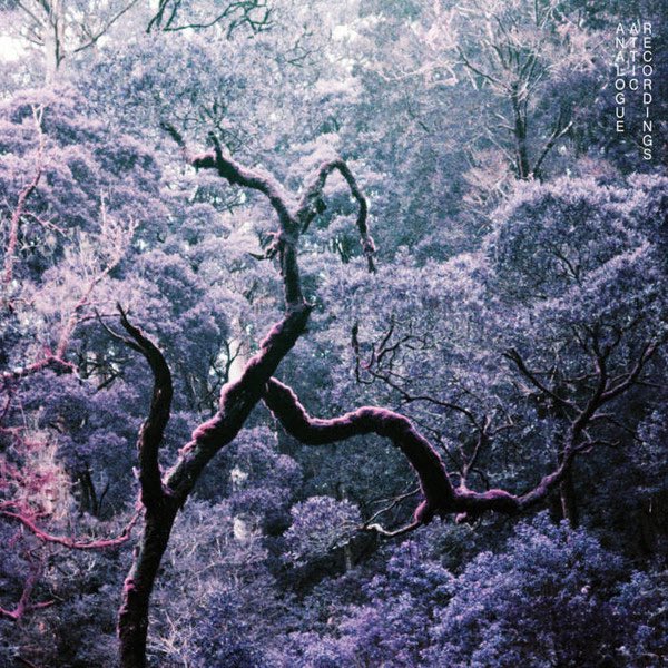 CaptainofSuave's tweet photo. Badskin – Bush Bash
https://t.co/PwWvIbxpK3
#badskin #bushbash #electronic #ambient #fieldrecordings #leftfield #experimental #abstract #downtempo #melbourne #analogueattic #2023 https://t.co/9wxugZR3Q4