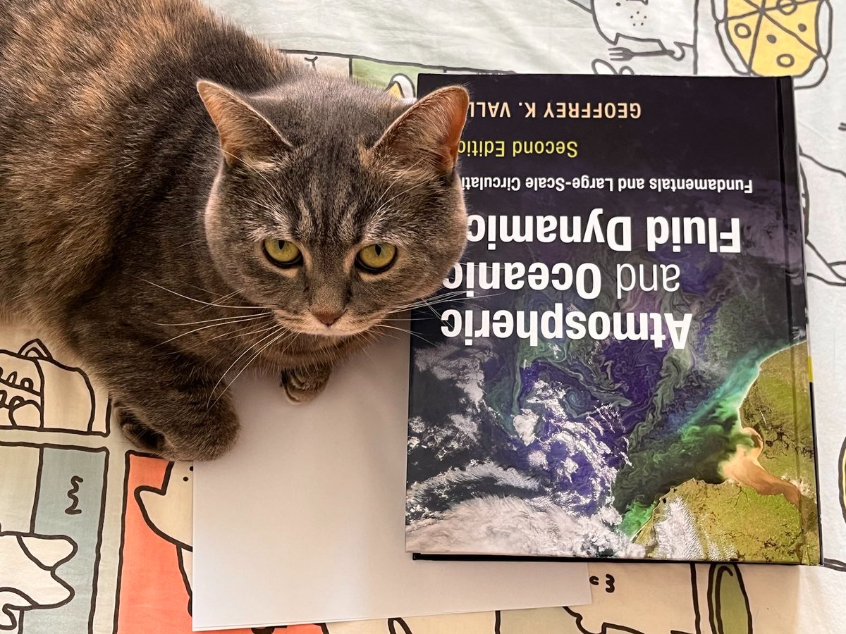 Julian Mak つ ◕_◕ つ tweet media