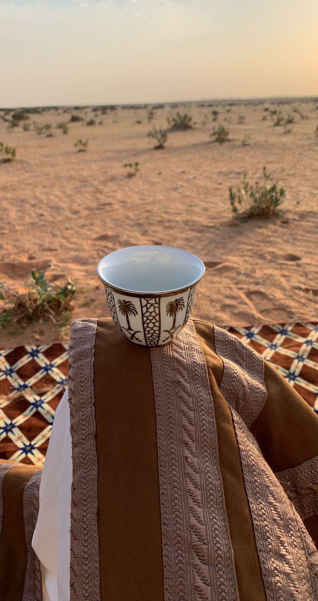 أغنيت نفسي ودرب العز مغنيني
عن واقعٍ من وراه الكبد مندبله
.
#سنابيه #سنابيات #تصويري 📸