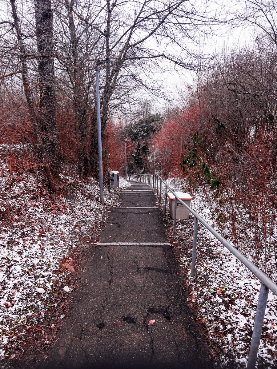 CJTh0msen's tweet photo. and the sky is grey https://t.co/qd0WNNnxDG