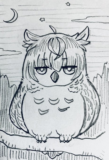 みみずく🦉 