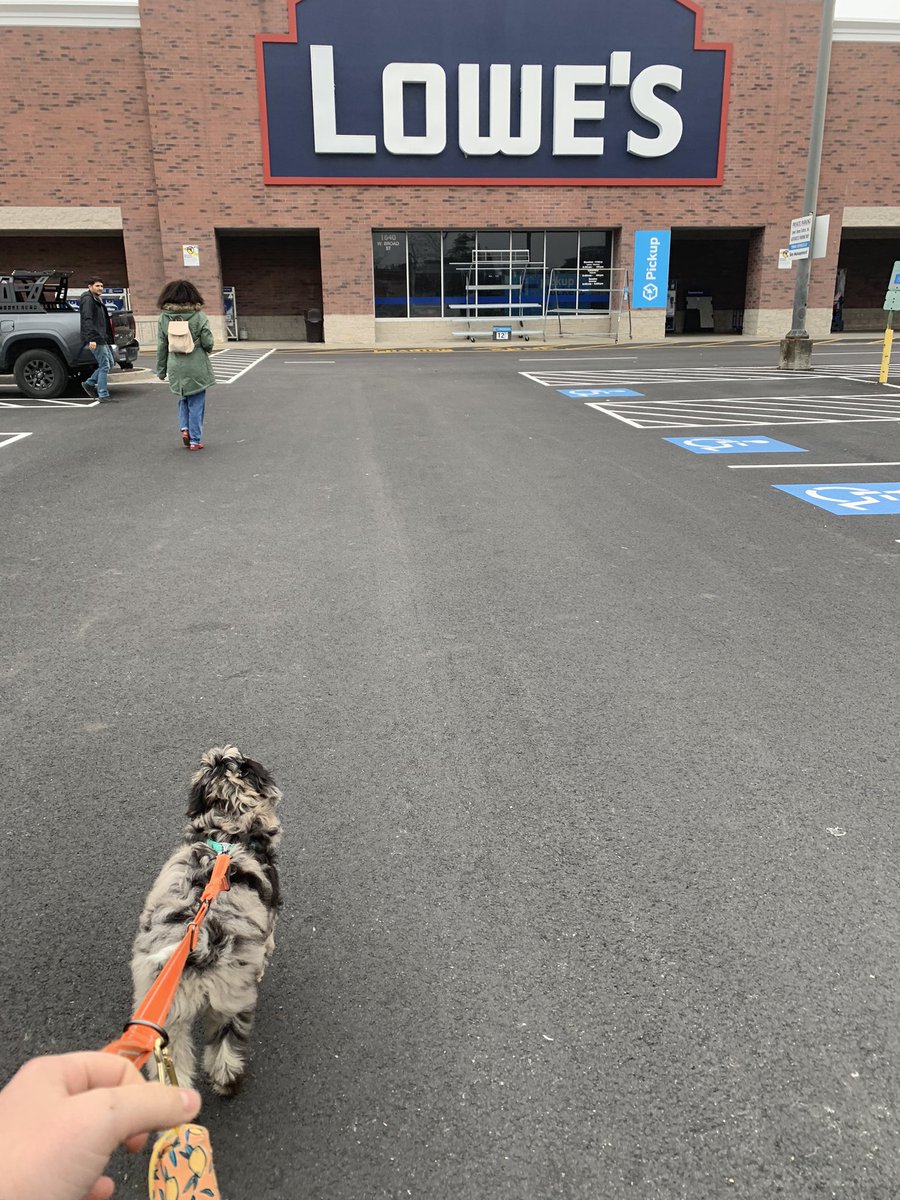 Katie Strom tweet media