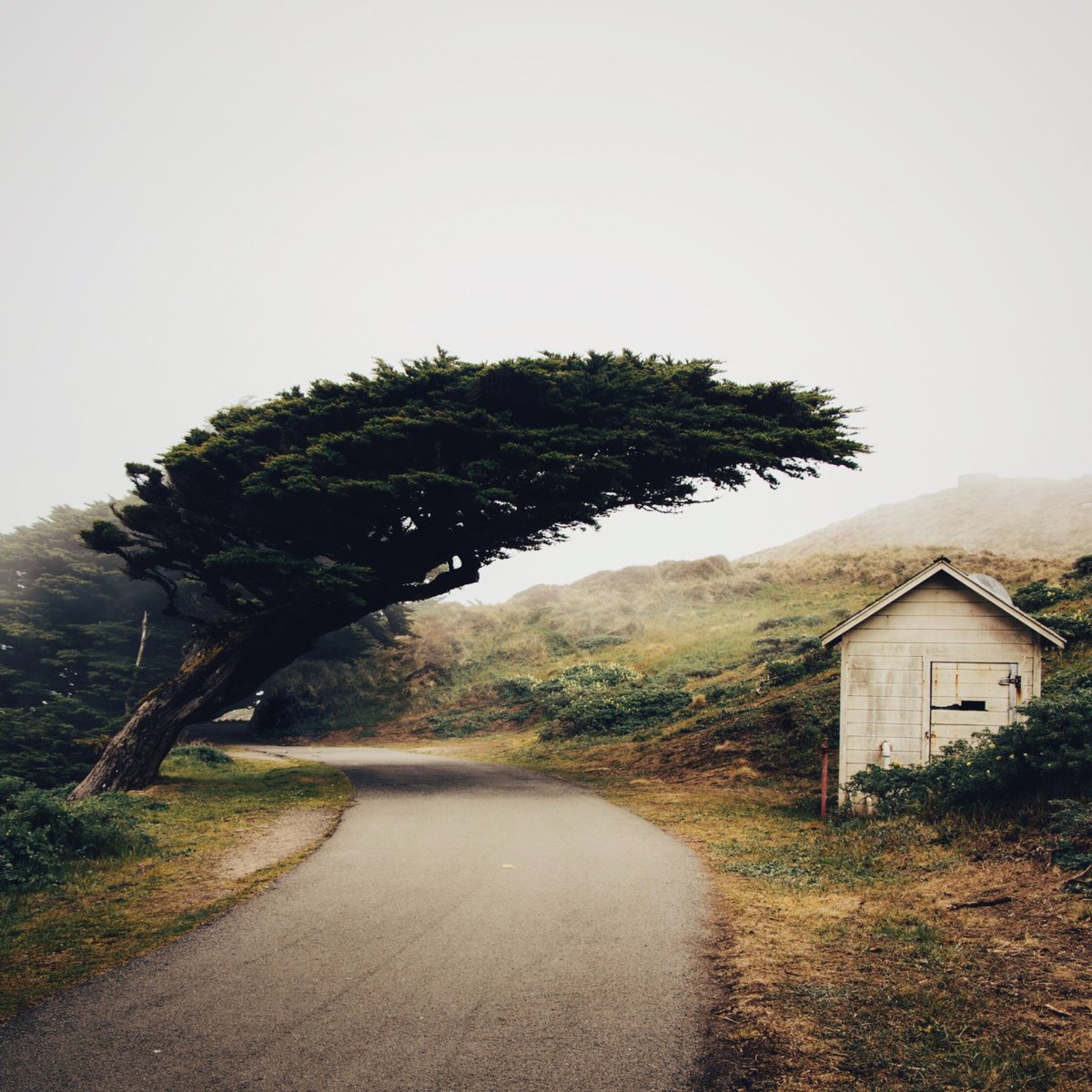 archillect's tweet image. 