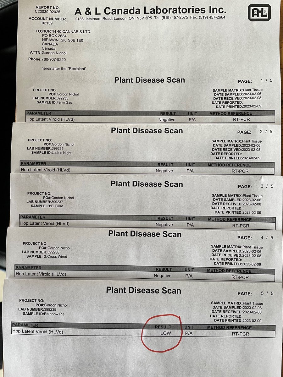 North 40 Cannabis tweet media