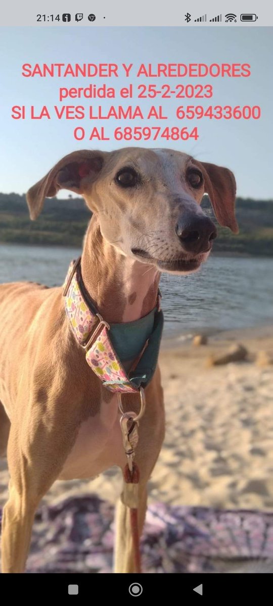 Manuel Campos. 💢💢 (@mayojuca) on Twitter photo 