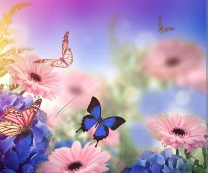 Andreia Mattos tweet media