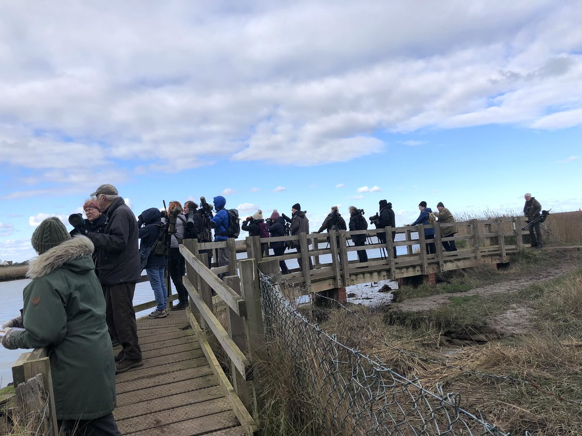 A fabulous first day back out birding with <a href="/wvbs1/">WVBS</a> Started with a Woodcock flyby in Burgh Castle car park &amp; ended with a Bittern flyby at Trinity Broad. Forgot to take bird pics, &amp; could barely remember how to assemble the scope, so hey, here’s the <a href="/wvbs1/">WVBS</a> gang working hard🤔